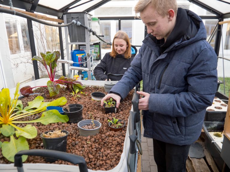 Ehemaliger Schüler im Interview: Projektarbeit als besondere Lernleistung