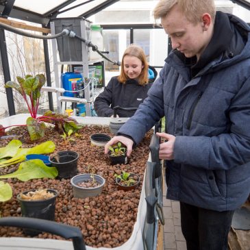 Ehemaliger Schüler im Interview: Projektarbeit als besondere Lernleistung