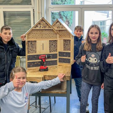 Ministerium fördert Insektenhotels