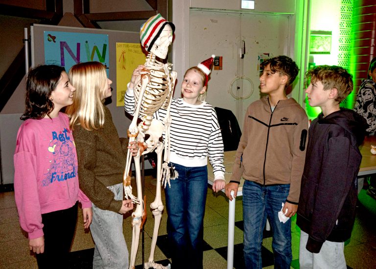 Einladung zum MINT-Tag in weihnachtlicher Atmosphäre