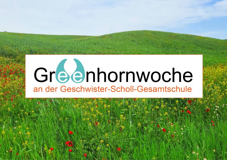 Greenhornwoche für die neue EF