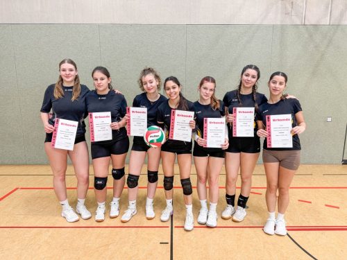 2025 Volleyball Stadtmeisterschaft